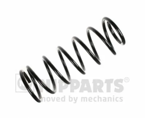 Suspension Spring (N5540915)