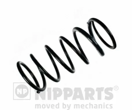 Suspension Spring (N5555052)