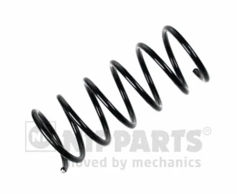 Suspension Spring (N5540526)