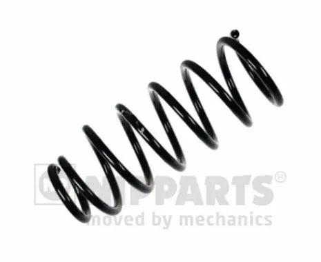 Suspension Spring (N5541125)