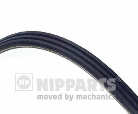 V-Ribbed Belt (J1030735)