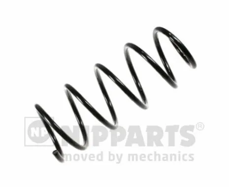 Suspension Spring (N5541004)