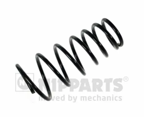Suspension Spring (N5550515)