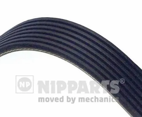 V-Ribbed Belt (N1072120)
