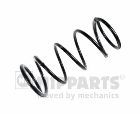 Suspension Spring (N5541121)