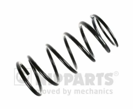 Suspension Spring (N5555026)