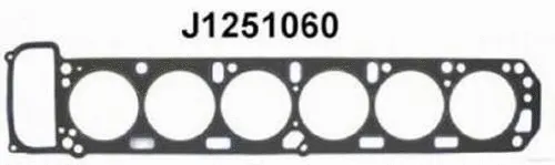 Gasket, cylinder head (J1251060)
