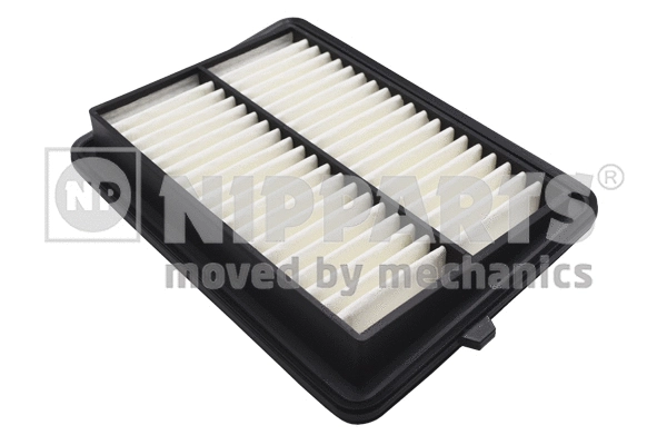Air Filter (N1328055)