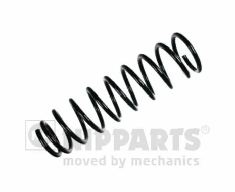 Suspension Spring (N5554023)