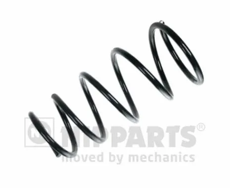 Suspension Spring (N5541114)