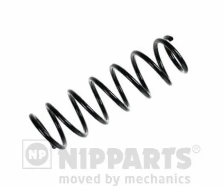 Suspension Spring (N5548053)