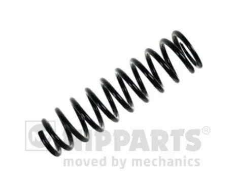 Suspension Spring (N5544015)