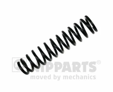 Suspension Spring (N5544102)