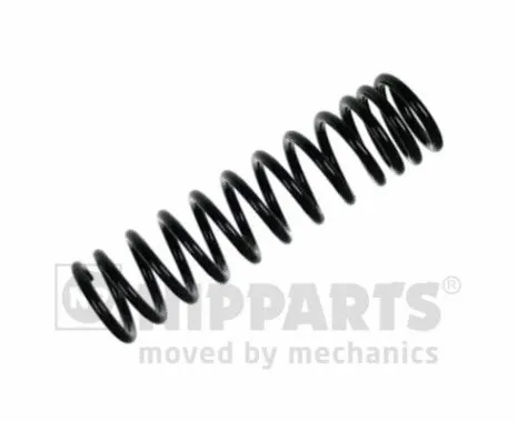 Suspension Spring (N5554088)