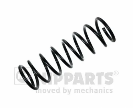 Suspension Spring (N5551021)