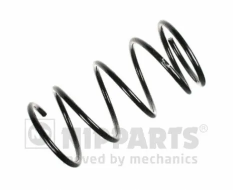 Suspension Spring (N5540351)