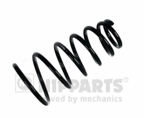 Suspension Spring (N5550325)