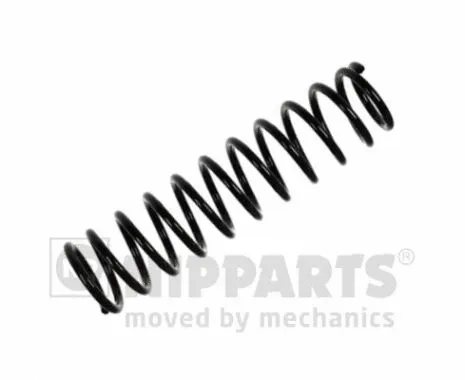 Suspension Spring (N5555038)