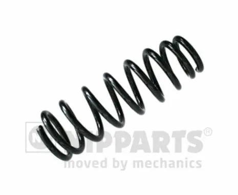 Suspension Spring (N5550541)