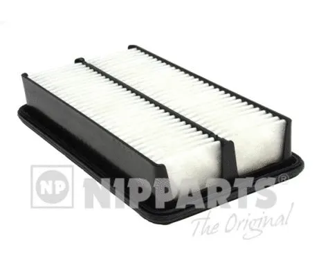 Air Filter (N1320324)