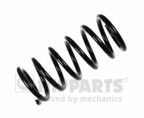 Suspension Spring (N5555010)