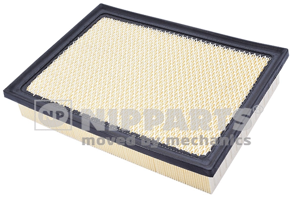 Air Filter (N1322129)