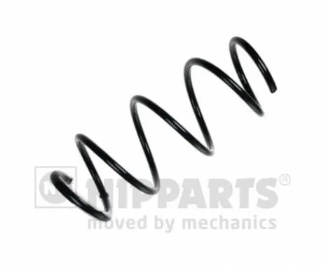 Suspension Spring (N5541081)