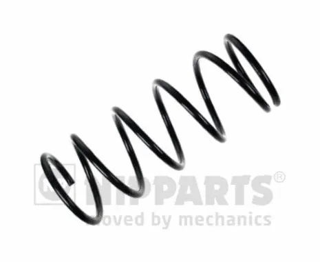 Suspension Spring (N5541095)