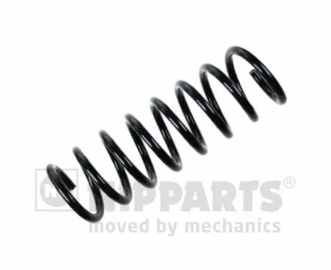 Suspension Spring (N5553046)