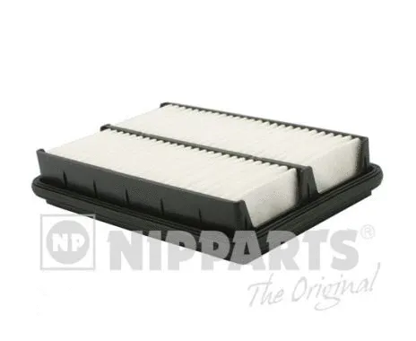 Air Filter (N1320528)