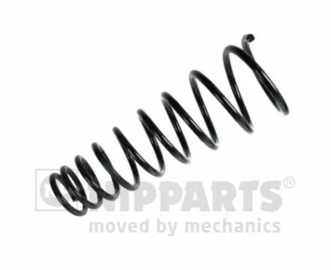 Suspension Spring (N5541105)
