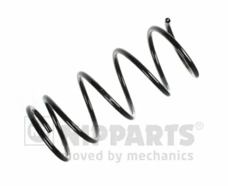 Suspension Spring (N5541011)