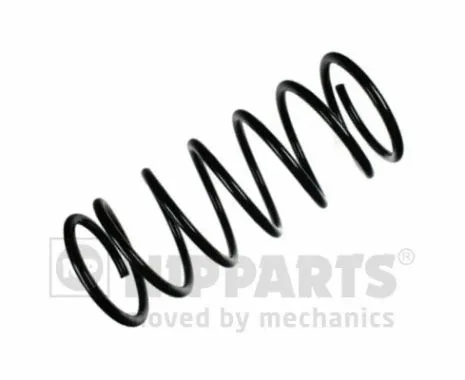 Suspension Spring (N5555013)