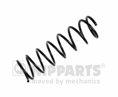 Suspension Spring (N5553023)
