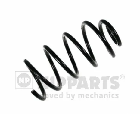 Suspension Spring (N5541017)