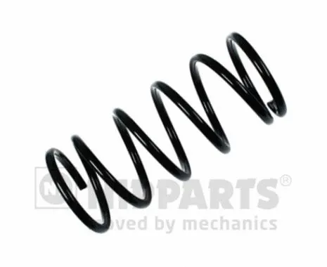 Suspension Spring (N5550910)