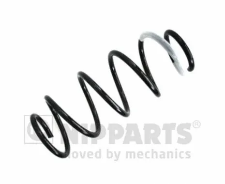 Suspension Spring (N5543105)