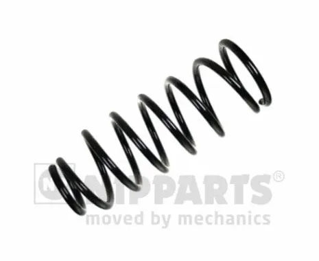 Suspension Spring (N5541056)