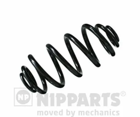 Suspension Spring (N5550934)
