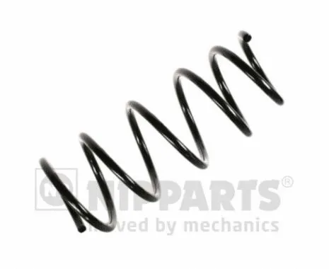 Suspension Spring (N5541007)