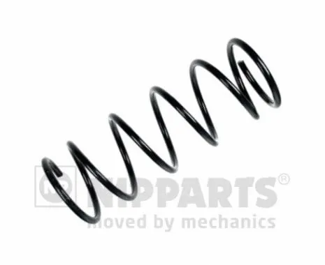 Suspension Spring (N5541053)