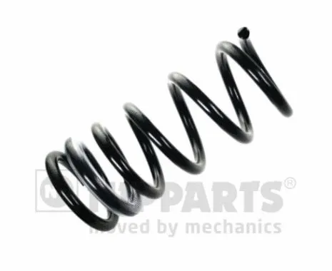 Suspension Spring (N5555064)