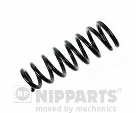 Suspension Spring (N5552116)