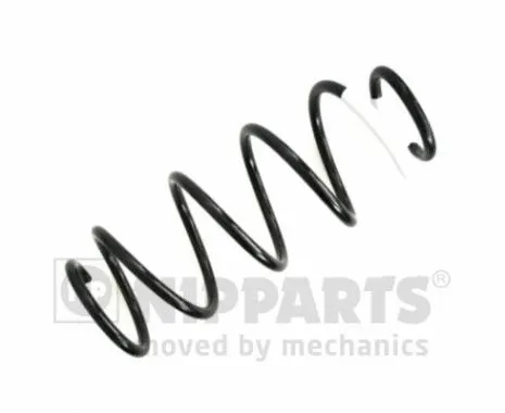 Suspension Spring (N5543104)