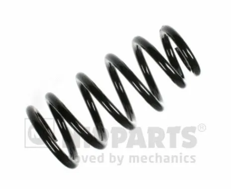 Suspension Spring (N5554002)