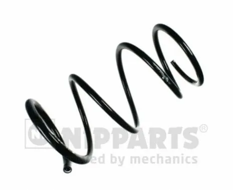 Suspension Spring (N5541138)