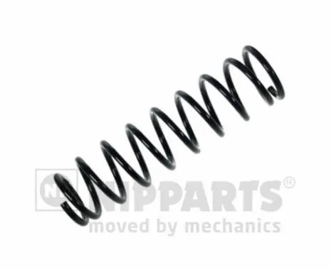Suspension Spring (N5555050)