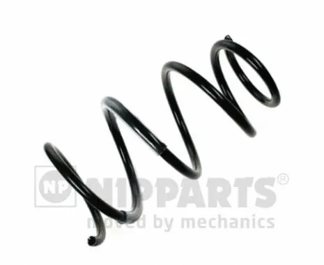 Suspension Spring (N5542016)