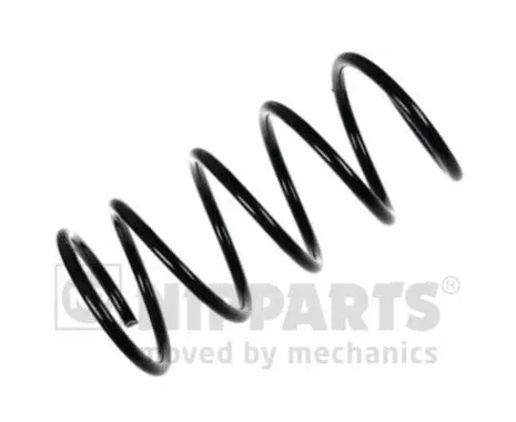 Suspension Spring (N5545034)