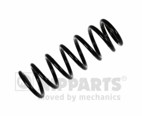 Suspension Spring (N5557020)